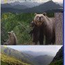National Geographic Дикая природа России (6 серий) (2 Blu-ray) на Blu-ray