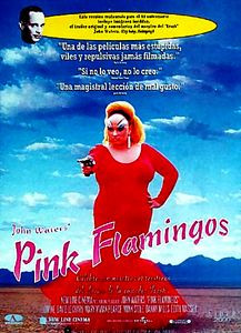Розовые фламинго (Без полиграфии!) на DVD