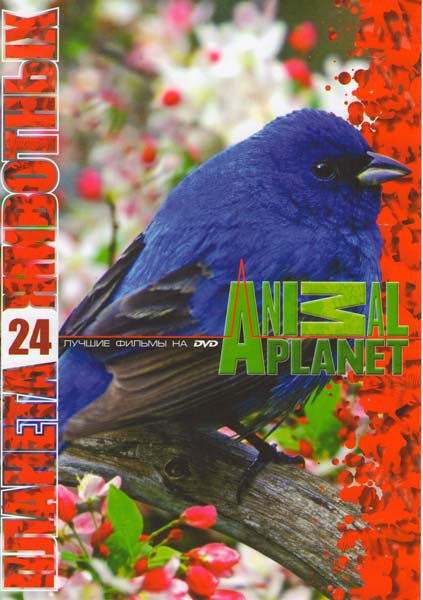 Планета животных 24 Отдел по защите животных (19 серий) на DVD