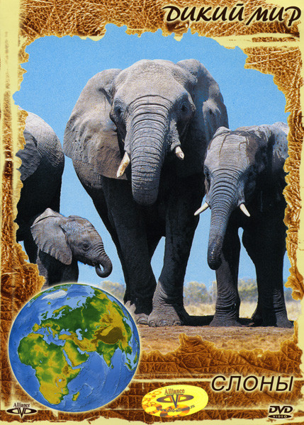 Дикий мир Слоны  на DVD