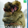 BBC Одна жизнь (Blu-ray) на Blu-ray