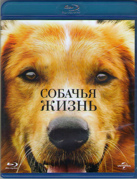 Собачья жизнь (Blu-ray)* на Blu-ray