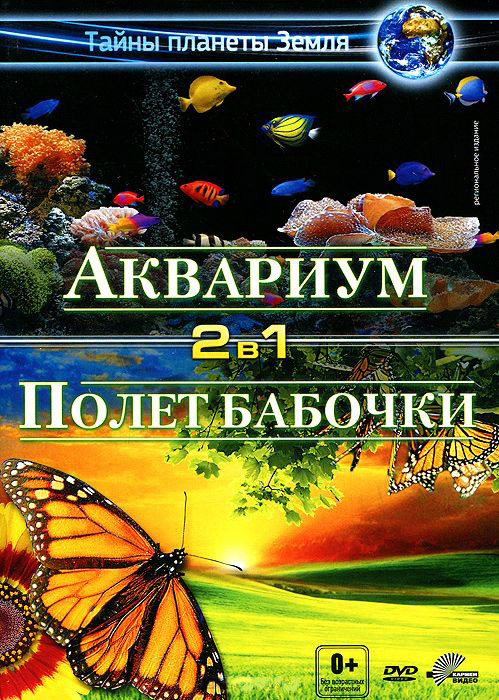 Аквариум / Полет бабочки  на DVD