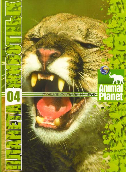 Планета животных 4 ( Приключения Корвина 11 эпизодов / Чудо собаки 19 эпизодов / Самый лучший пес 2 эпизода ) на DVD