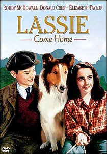 Лесси Возвращается домой на DVD