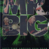 MR BIG Back To Budokan (2 DVD) на DVD