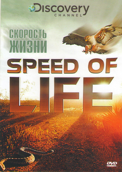 Скорость жизни (3 серии) на DVD