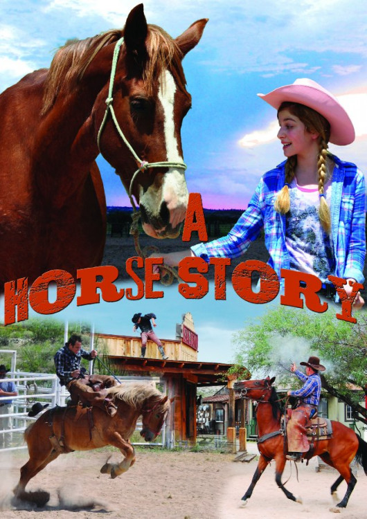 История одной лошадки на DVD