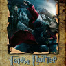 Гарри Поттер и Кубок огня* на DVD