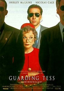 Телохранитель Тесс  на DVD