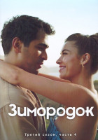 Изображение товара Зимородок 3 Сезон 4 Часть (25-28 серии) (2DVD)