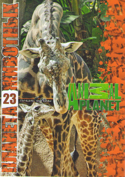 Планета животных 23 (Самые забавные животные планеты (17 серий) / Заповедник в дебрях Африки (14 серий) / Живая планета (2 серии)) на DVD