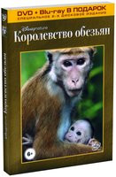 Королевство обезьян (DVD + Blu-ray) на DVD Королевство обезьян (DVD + Blu-ray) на DVD