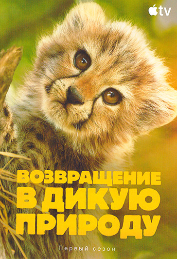 Возвращение в дикую природу (6 серий) на DVD Возвращение в дикую природу (6 серий) на DVD