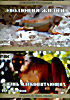 Эволюция жизни / Жизнь млекопитающих на DVD