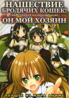 Изображение товара Нашествие бродячих кошек (13 серий) / Он мой хозяин (12 серий)