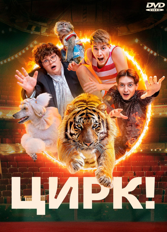 Цирк (17 серий) (2DVD)* на DVD