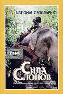 National Geographic Сила слонов на DVD