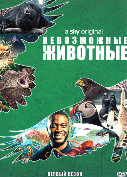Невозможные животные 1 Сезон (3 серии) на DVD Невозможные животные 1 Сезон (3 серии) на DVD