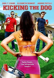 Лето наших надежд на DVD