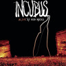 Incubus Alive at red rocks (Blu-ray)* на Blu-ray Incubus Alive at red rocks (Blu-ray)* на Blu-ray