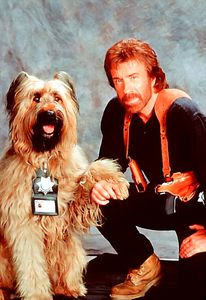 Око за око/Агент/Отряд Дельта 1-2 на DVD