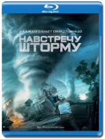 Изображение товара Навстречу шторму (Blu-ray)