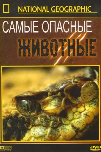 National Geographic Самые опасные животные на DVD National Geographic Самые опасные животные на DVD