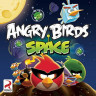 Angry Birds Space (PC DVD)