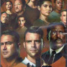 Пожарные Чикаго (Чикаго в огне) 10 Сезон (22 серии) (3DVD) на DVD