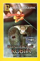 Изображение товара National Geographic Королевская кобра