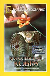 National Geographic Королевская кобра на DVD