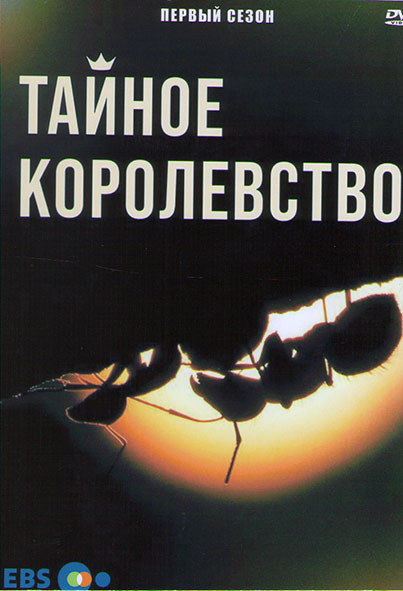 Тайное королевство 1 Сезон (2 серии) на DVD