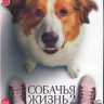 Собачья жизнь 2 (Blu-ray)* на Blu-ray Собачья жизнь 2 (Blu-ray)* на Blu-ray