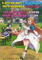 Изображение товара В другом мире с мужчиной обратившимся красоткой (12 серий) / Связь принцесс Новое погружение ТВ2 (12 серий) (2 DVD)