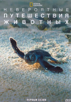 Изображение товара Невероятные путешествия животных 1 Сезон (7 серий) (2DVD)