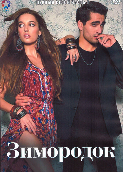 Зимородок 1 Сезон 1 Часть (4DVD) на DVD