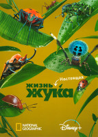 Изображение товара Настоящая жизнь жука 1 Сезон (5 серий)