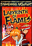 Пламенный лабиринт  на DVD