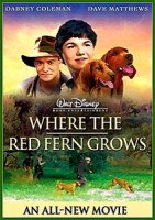 Изображение товара Цветок красного папоротника