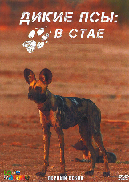 Дикие псы В стае 1 Сезон (6 серий) на DVD