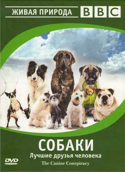 BBC Собаки Лучшие друзья человека на DVD