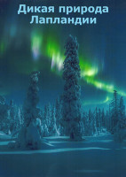 Изображение товара Дикая природа Лапландии 1 Сезон (3 серии)