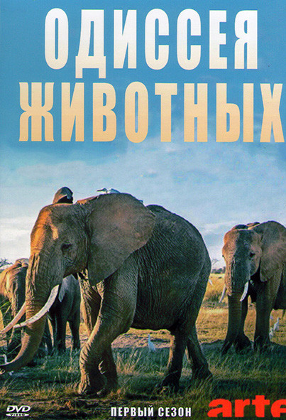 Одиссея животных 1 Сезон (5 серий) на DVD
