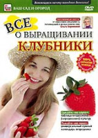Изображение товара Все о выращивании клубники