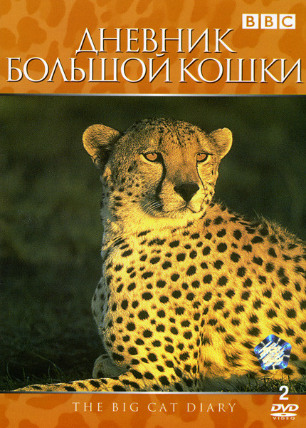 Дневник большой кошки 2 DVD на DVD Дневник большой кошки 2 DVD на DVD