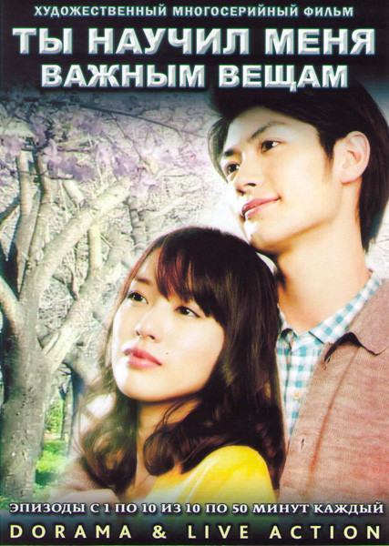 Ты научил меня важным вещам (10 серий) (2 DVD) на DVD