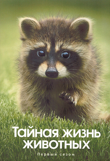 Тайная жизнь животных 1 Сезон (10 серий) (2DVD) на DVD