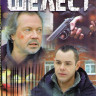 Шелест (16 серий) на DVD Шелест (16 серий) на DVD