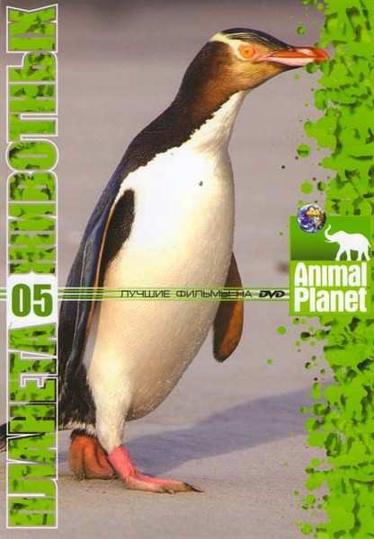 Планета животных 5 (Самые забавные животные планеты 40 эпизодов) на DVD